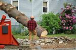 How to Cut Down a Tree Near House