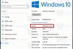 How to Find Windows System