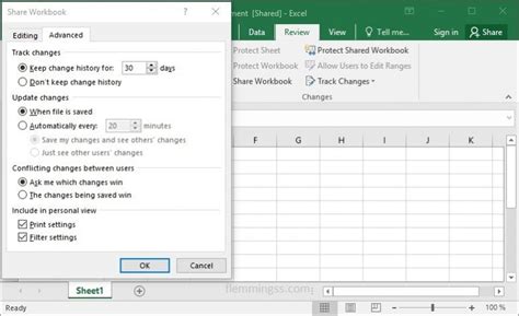 Excel File for Multiple Users