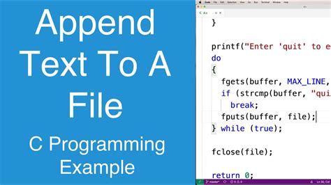 How to append text to a text file in C