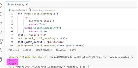 How to check if a string in Python is in ASCII
