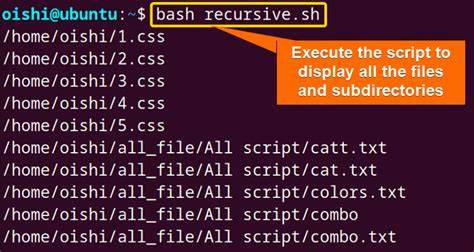 How to copy in bash all directory and files recursive
