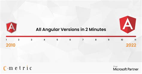 How to display the app version in Angular