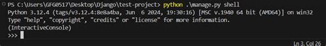 How to execute a Python script from the Django shell