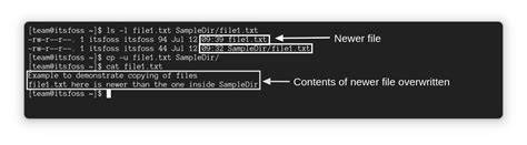 How to force cp to overwrite directory instead of creating another one inside