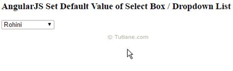 How to have a default option in Angularjs select box