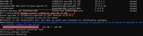 How to install OpenJDK 11 on Windows