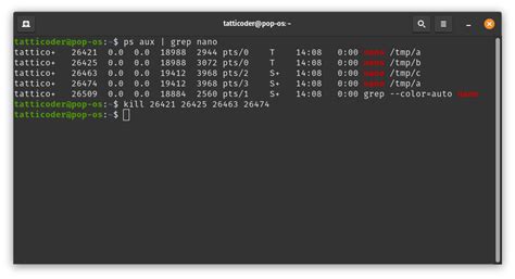 How to kill all processes matching a name