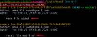 How to list unpushed Git commits local but not on origin