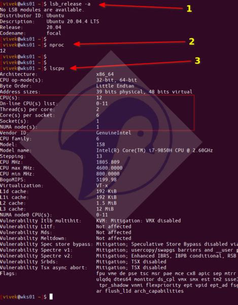 How to obtain the number of CPUscores in Linux from the command line