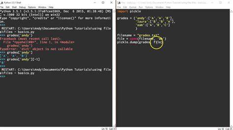 How to read pickle file