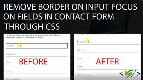 How to remove outline border from input button