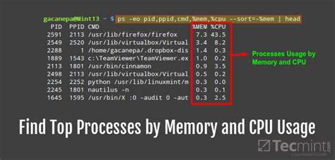How to see top processes sorted by actual memory usage
