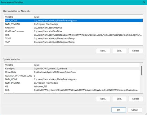 How to set environment variables in Python