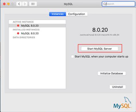 How to start MySQL server from command line on Mac OS Lion