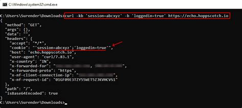 How to use cURL to send Cookies