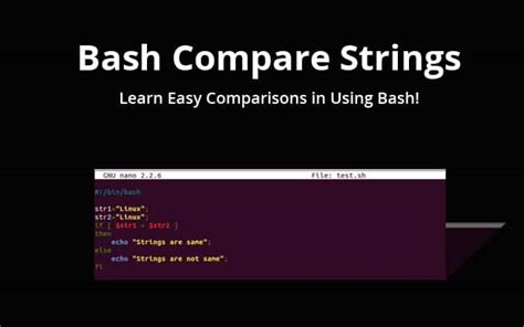 How to write multiple line string using Bash with variables