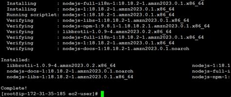 How to yum install Nodejs on Amazon Linux
