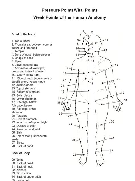 Human Pressure Point Chart