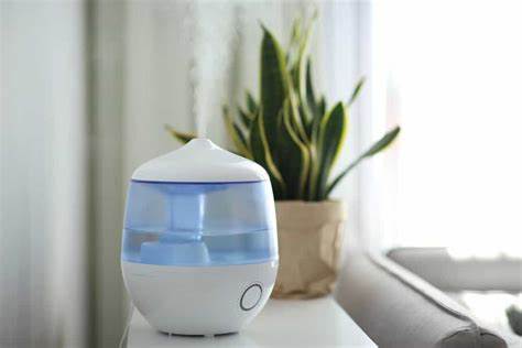 Humidifier Daily Cleaning