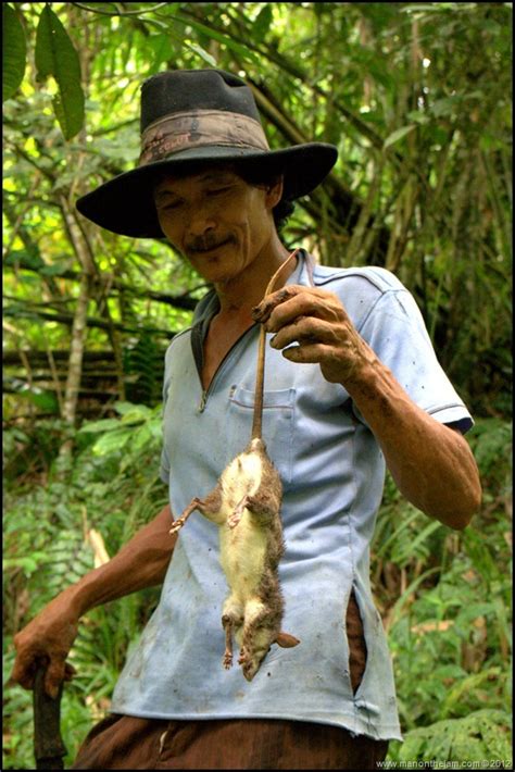 Panduan Hunting: Menjelajahi Keindahan Alam di Indonesia