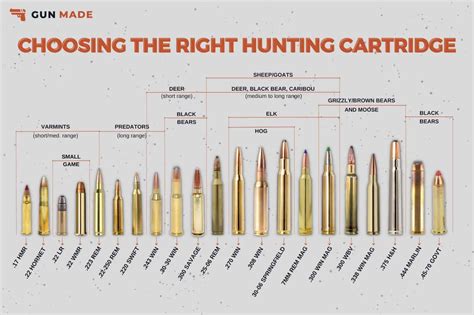 Hunting Rifle Calibers Chart