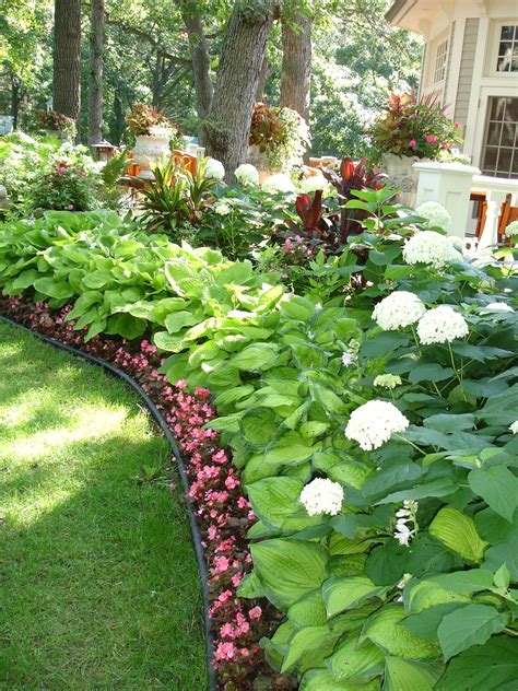 Hydrangea Garden Design