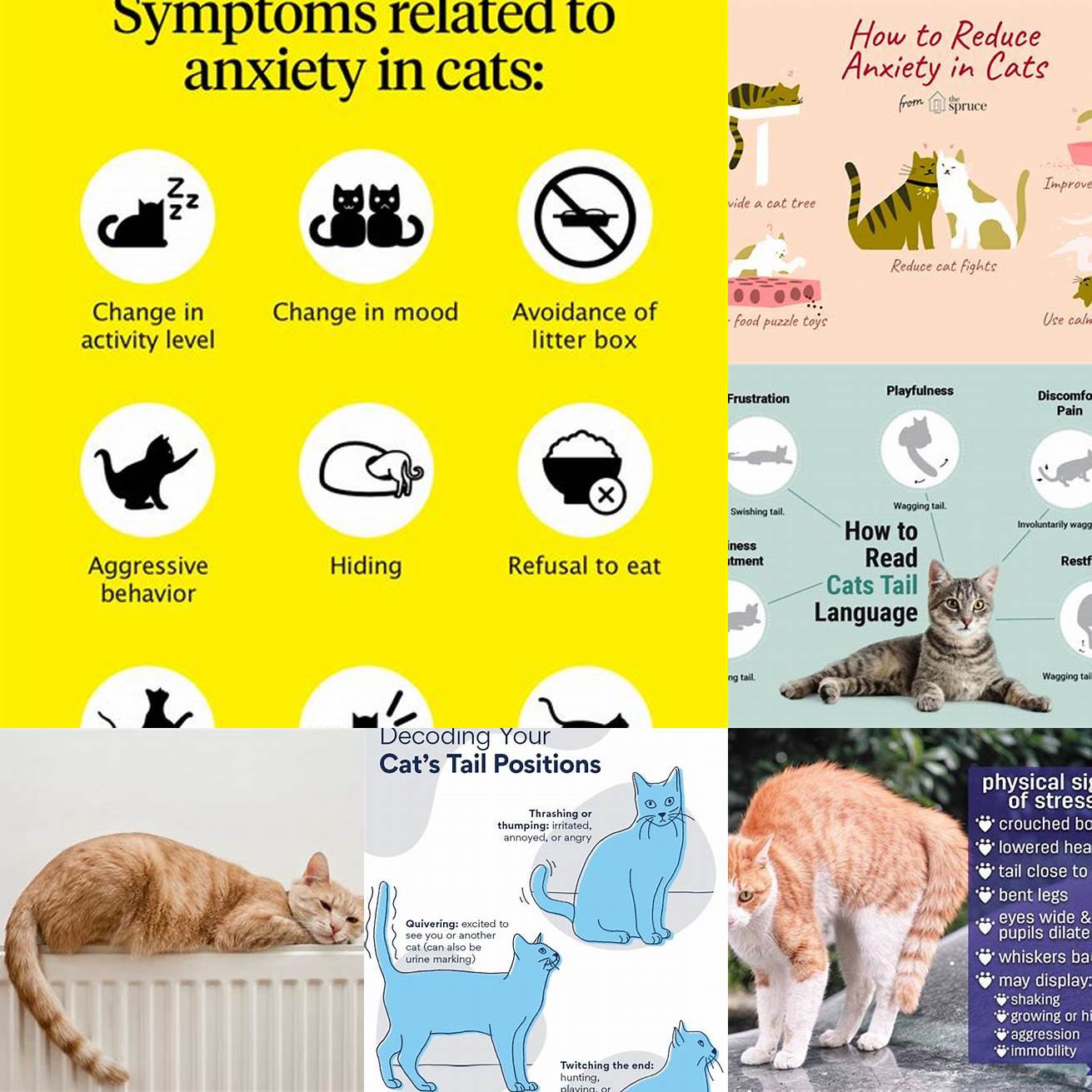 If your cat is experiencing stress or anxiety its tail may twitch or flick nervously This can happen if your cat is in a new environment experiencing a change in routine or feeling threatened in some way