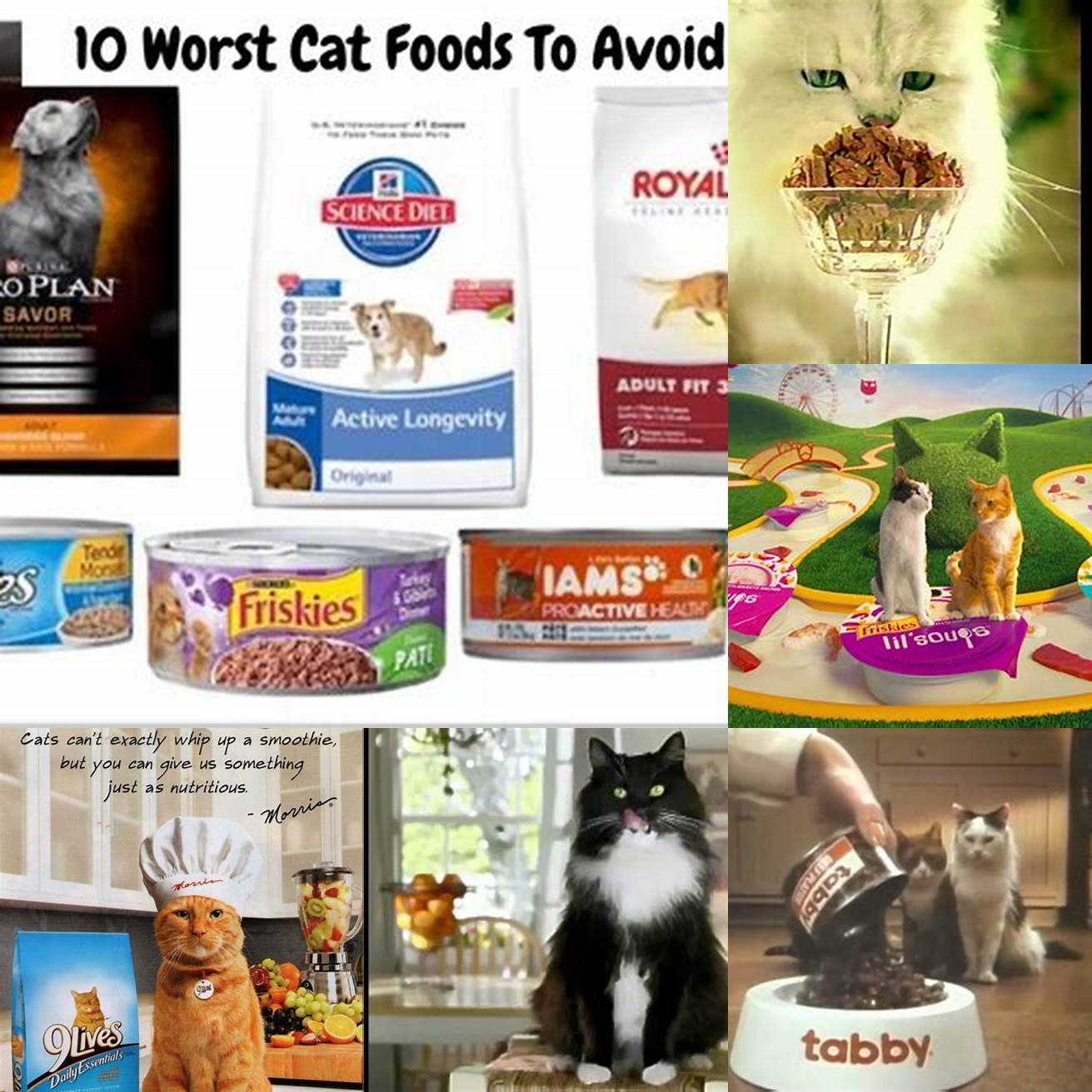 Image 2 Commercial Cat Food