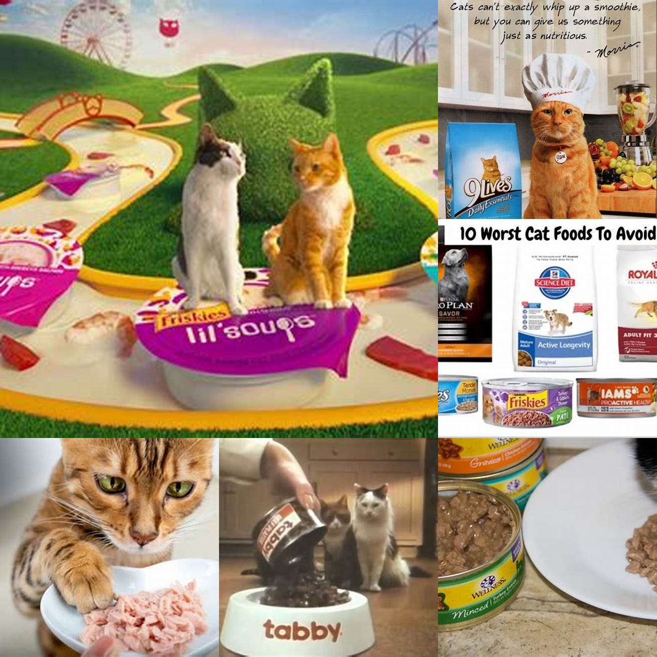 Image 5 Commercial Cat Food
