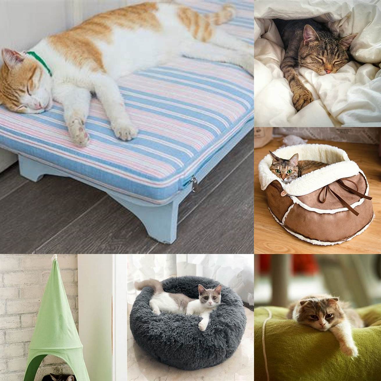 Image Idea 1 A cat resting comfortably in a cozy bed