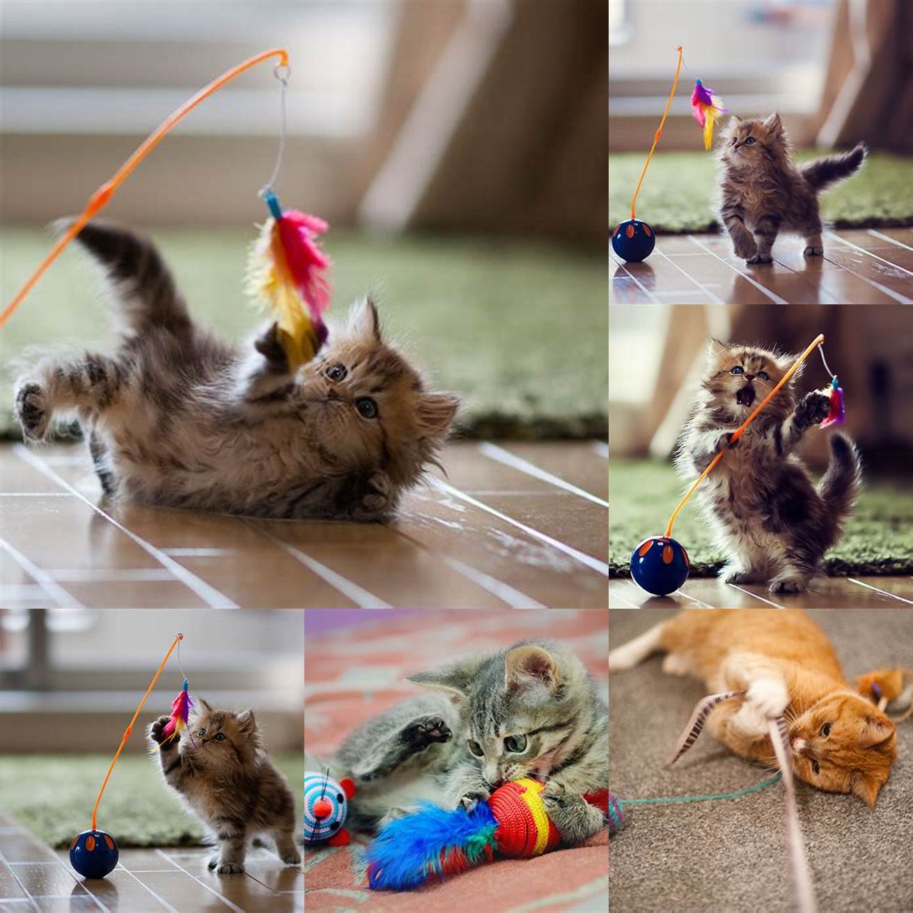Image of a cat playing with a toy