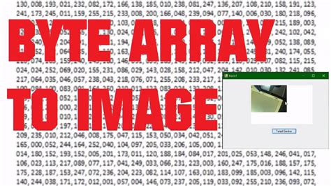 Image Byte Array Image Format