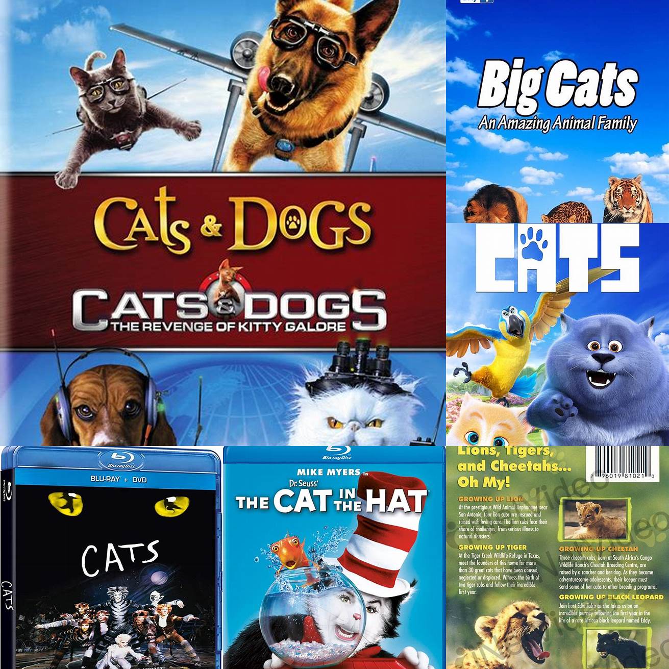 Images of animals featured in the DVD