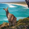 Images of Kangaroo Island