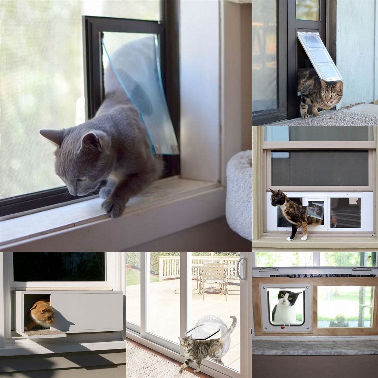 Improved Quality of Life A cat door for sliding window can improve your cats quality of life