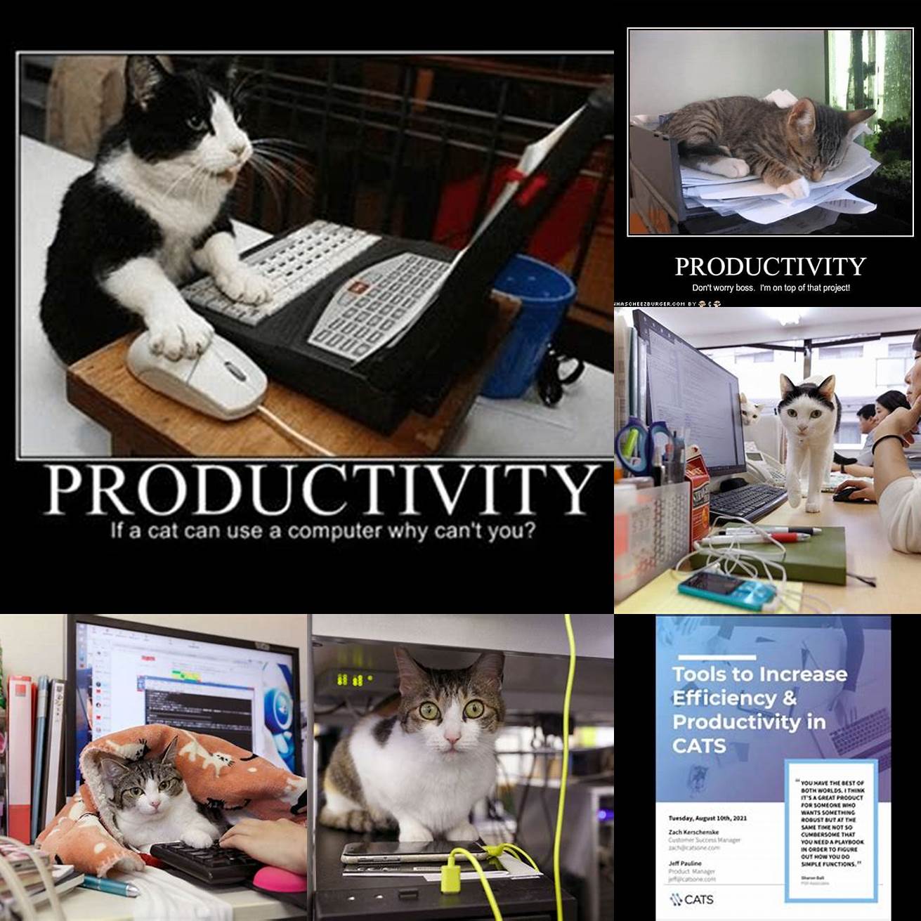 Increased productivity