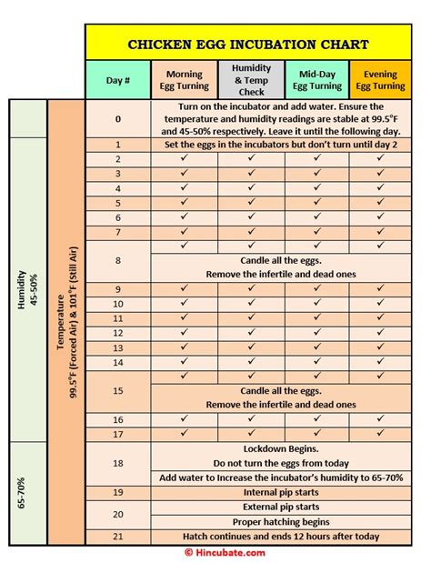 Incubation Chart