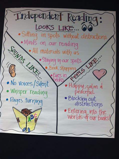 Independent Reading Expectations Anchor Chart
