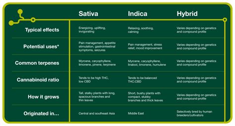 Indica Vs Sativa Chart