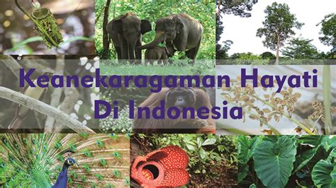 Indonesia Keanekaragaman Hayati