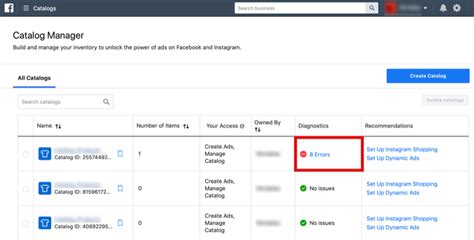 Instagram Does Not Appear In Diagnostics Facebook Catalog