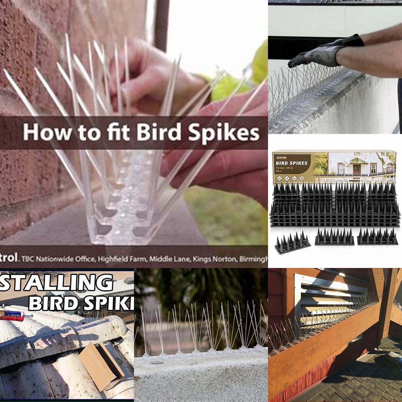 Install Bird Spikes