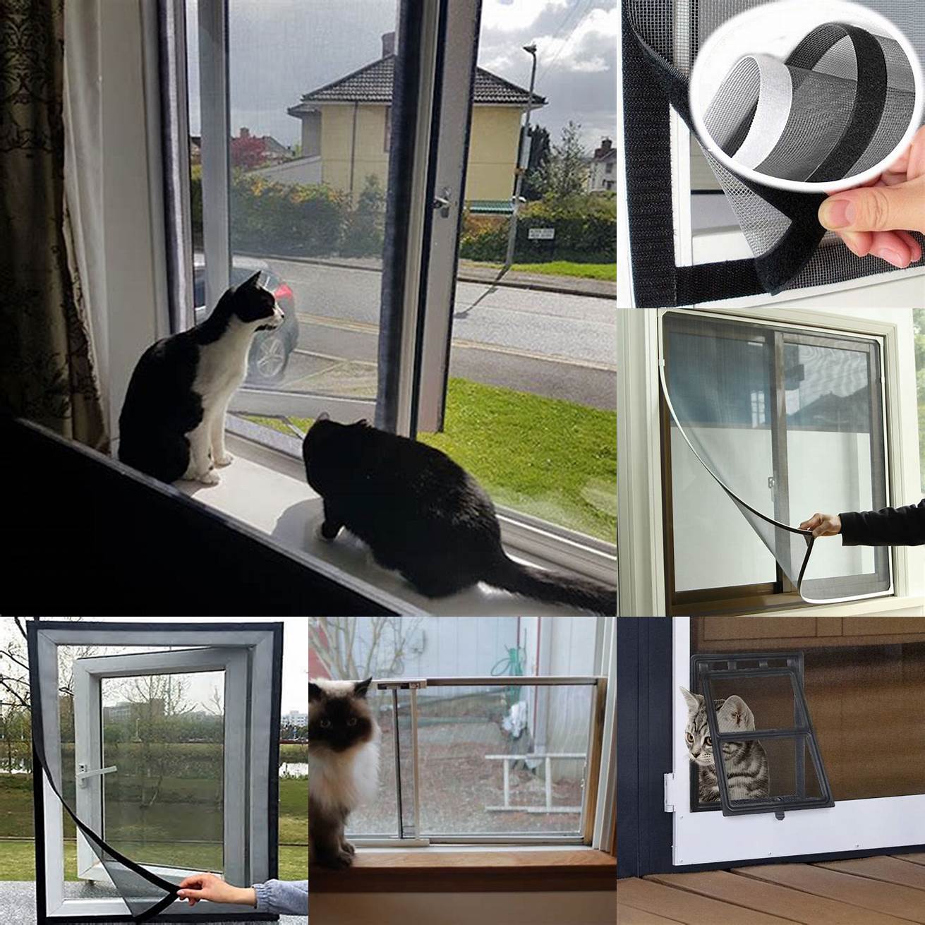 Install screens - If you want to keep your windows open consider installing screens
