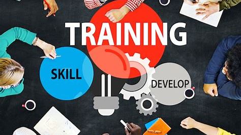Invest in Training and Development