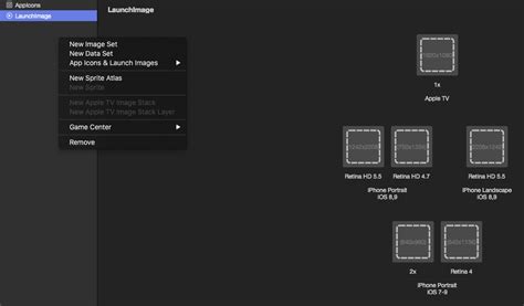 Ios Update Asset Catalog Without New Build