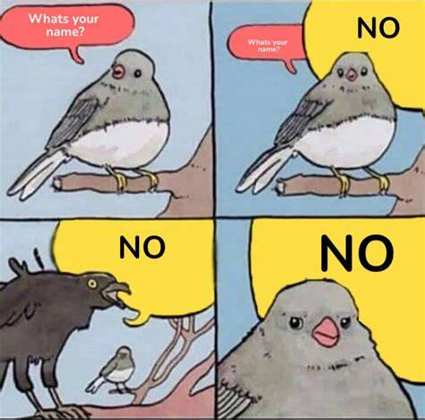 Is This A Bird Meme Template