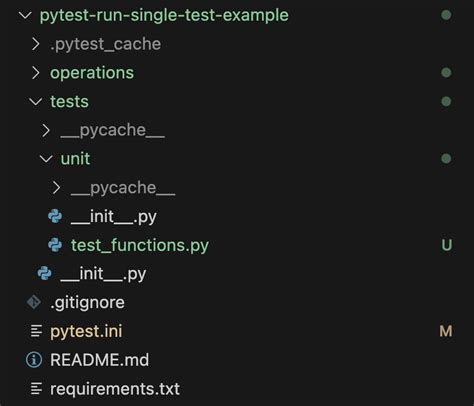 Is it possible to run a single test in MiniTest