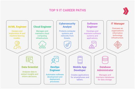 It Career Paths