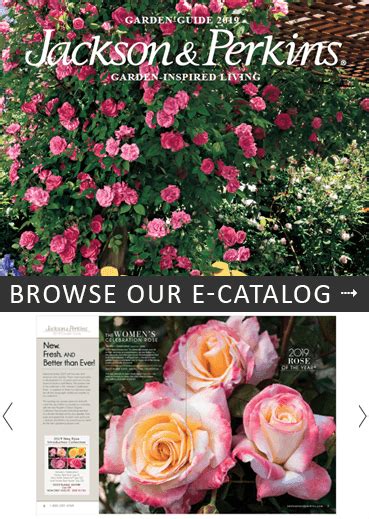 Jackson Perkins Catalog Request